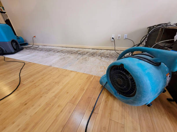 Professional Ceiling Water Damage Repair technician working in Simpsonville, SC